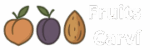 FRUITS CARVÍ